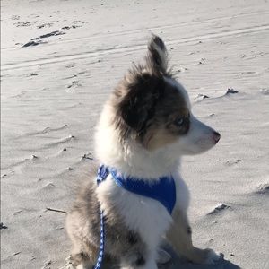 Meet your Posher, Drew